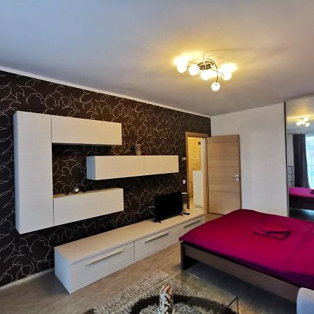 Contemporary Central Apartment In Cluj Napoca エクステリア 写真