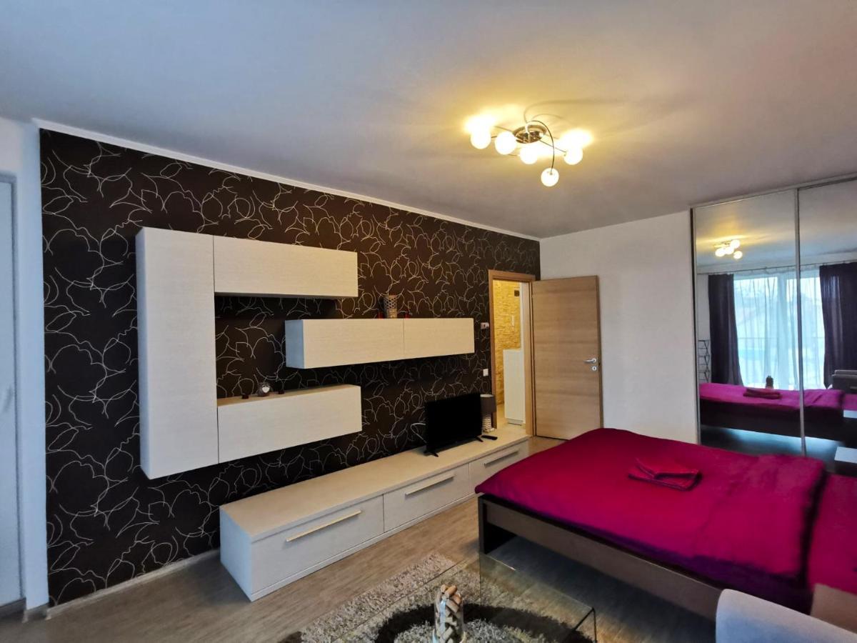Contemporary Central Apartment In Cluj Napoca エクステリア 写真