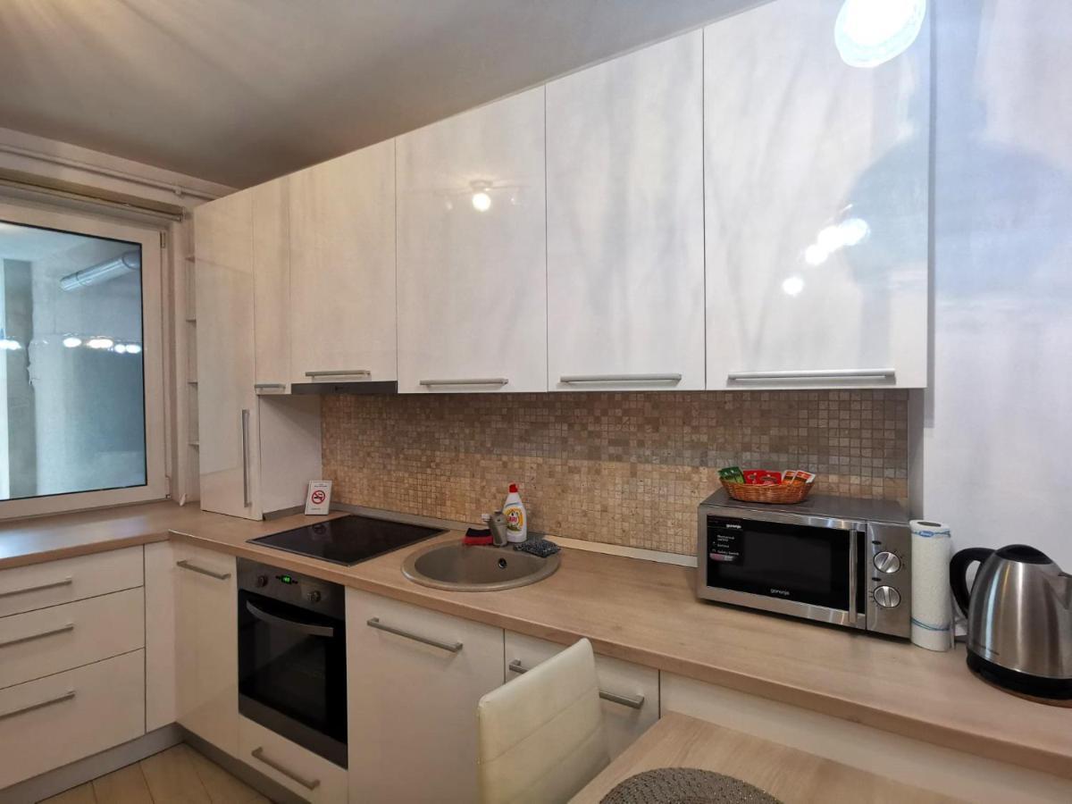 Contemporary Central Apartment In Cluj Napoca エクステリア 写真