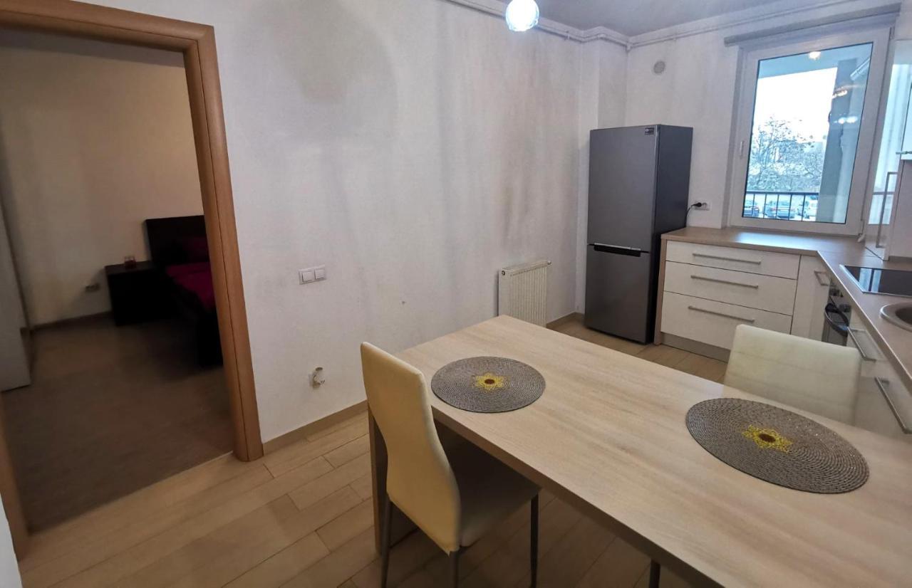 Contemporary Central Apartment In Cluj Napoca エクステリア 写真