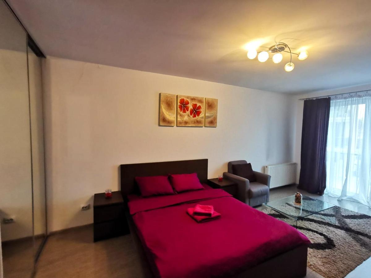 Contemporary Central Apartment In Cluj Napoca エクステリア 写真